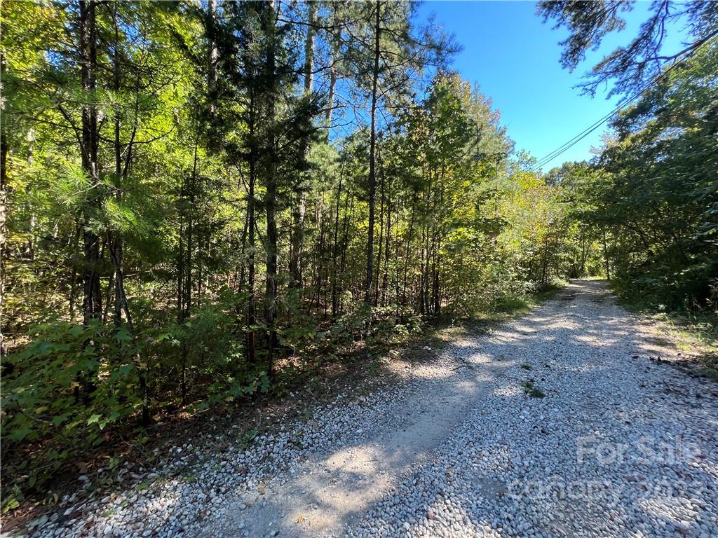 7628 Shadow Lawn Road Charlotte, NC 28269 - Photo 6 of 15 Gallery Image 6