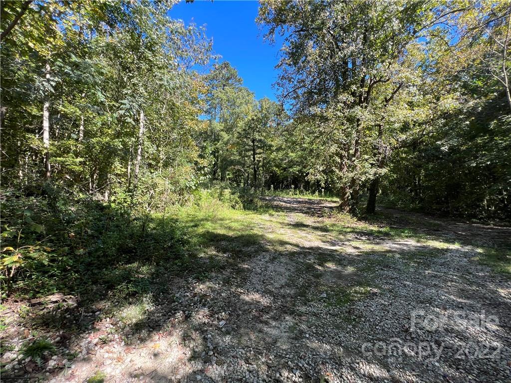 7628 Shadow Lawn Road Charlotte, NC 28269 - Photo 7 of 15 Gallery Image 7