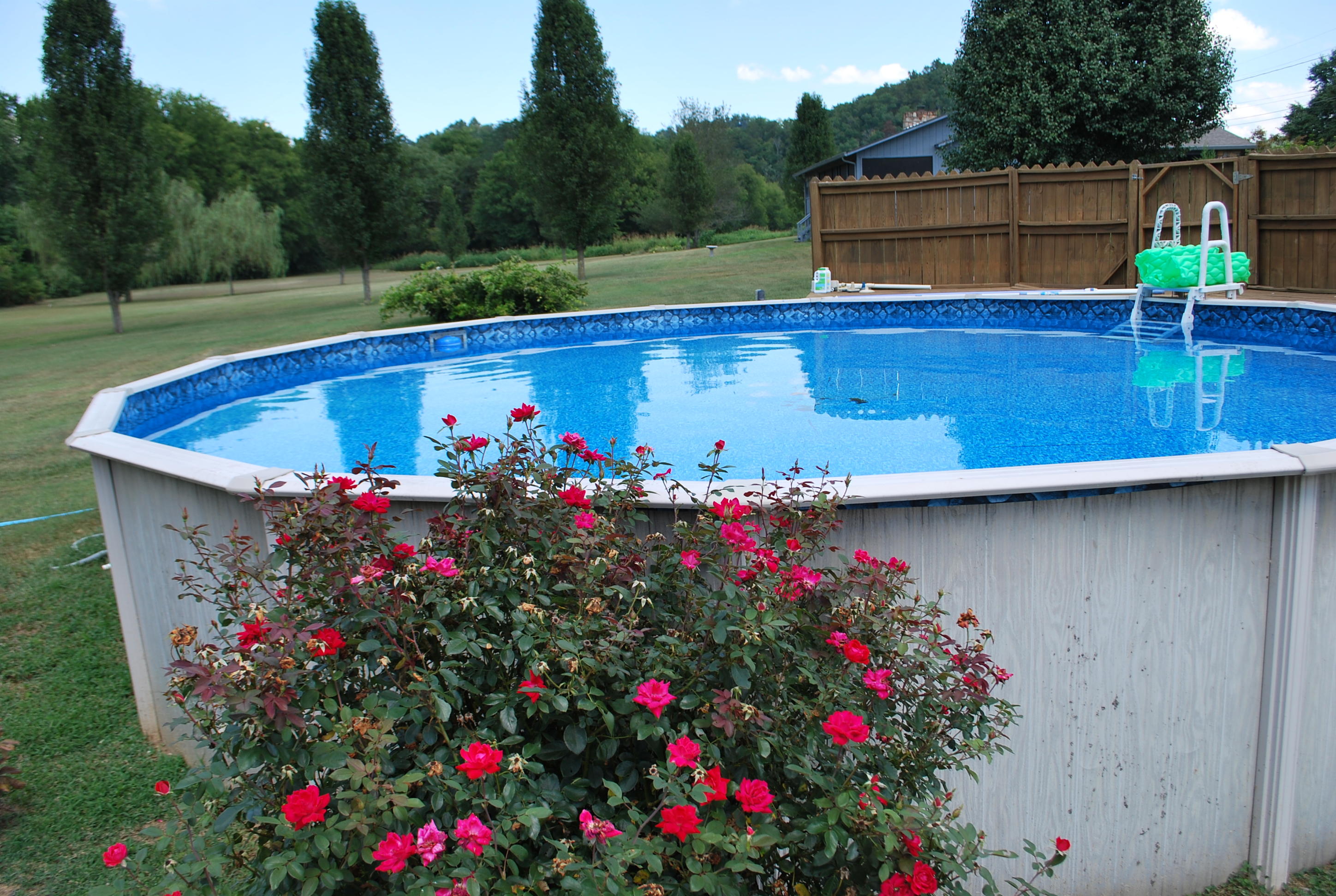 220 Rivers Edge Lane Sevierville, TN 37862 - Photo 18 of 22 DSC_0061