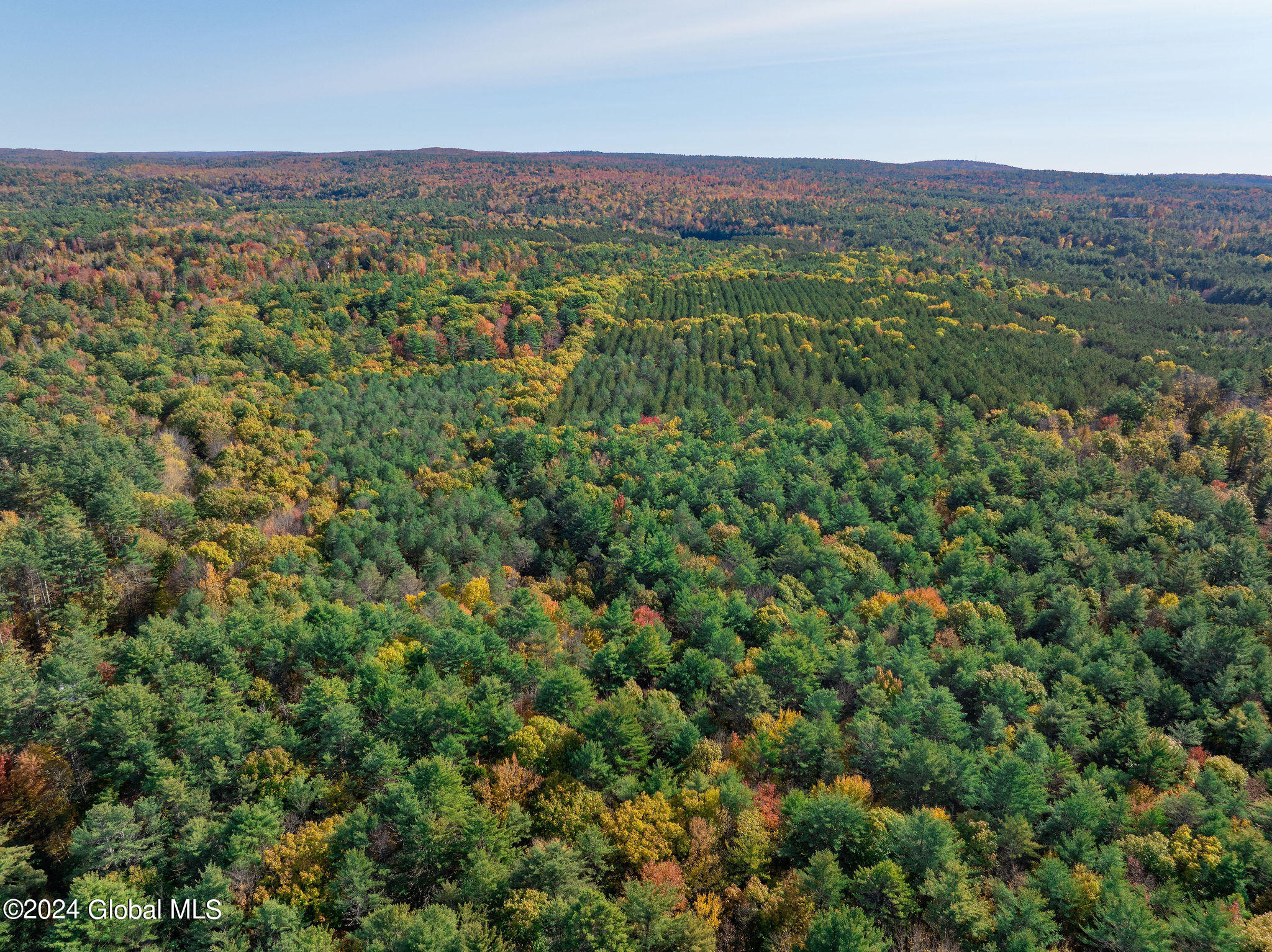 L86 Toohey Road Broadalbin, NY 12025 - Photo 8 of 20 DJI_20241018104632_0048_D