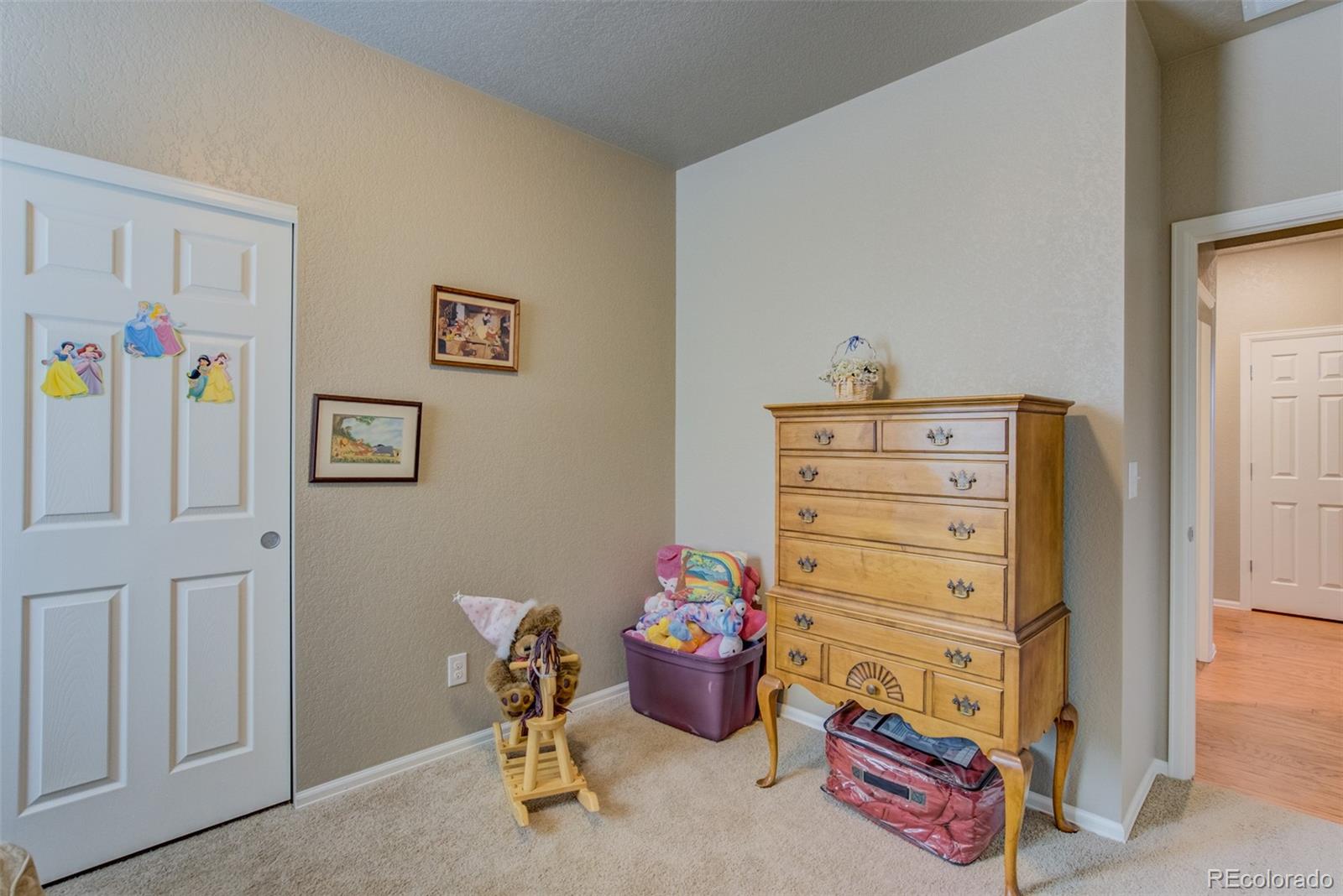5907 Point Rider Circle Castle Rock, CO 80104 - Photo 20 of 29 a room with toys and knick knacks on it