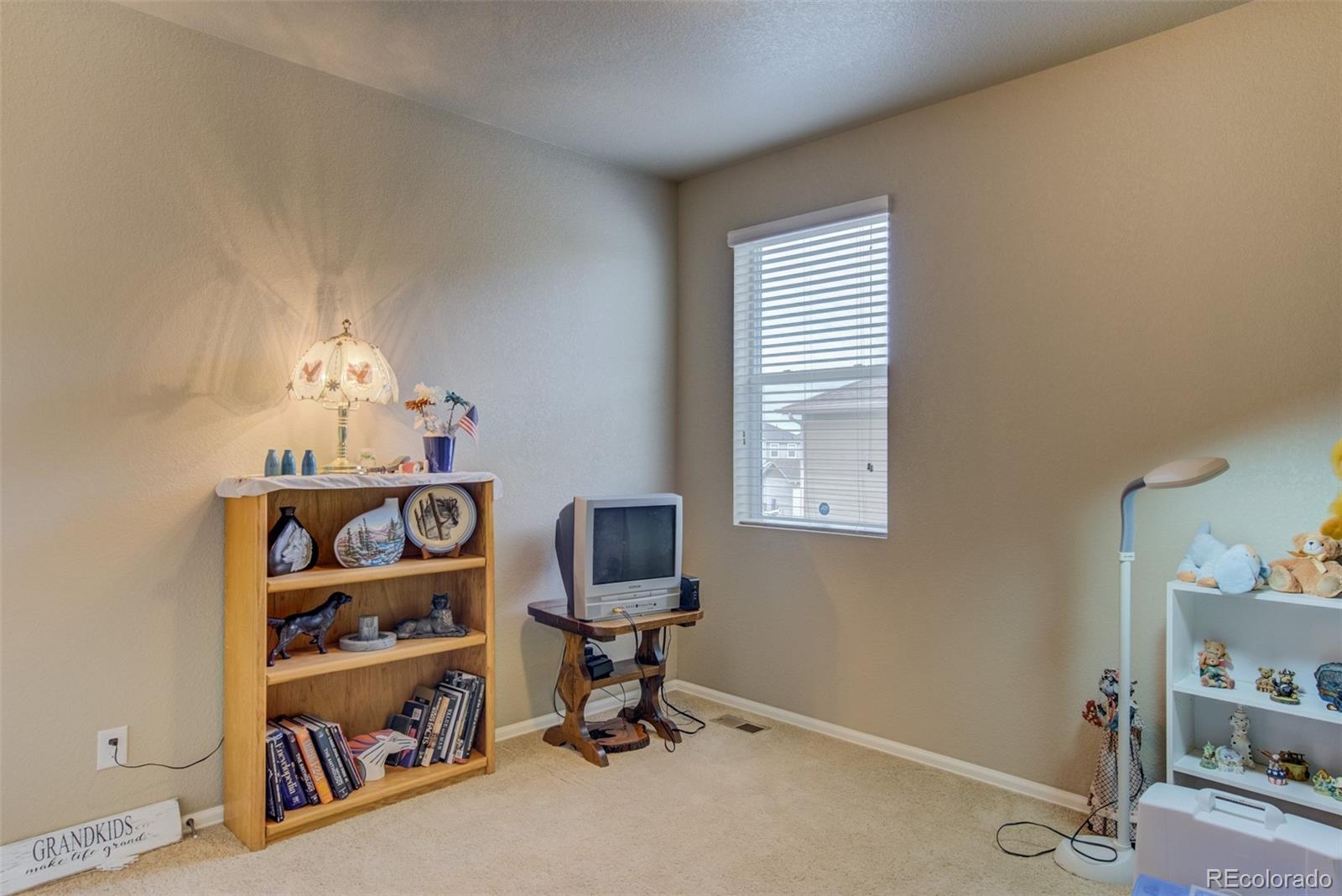 5907 Point Rider Circle Castle Rock, CO 80104 - Photo 21 of 29 a room with furniture and a window