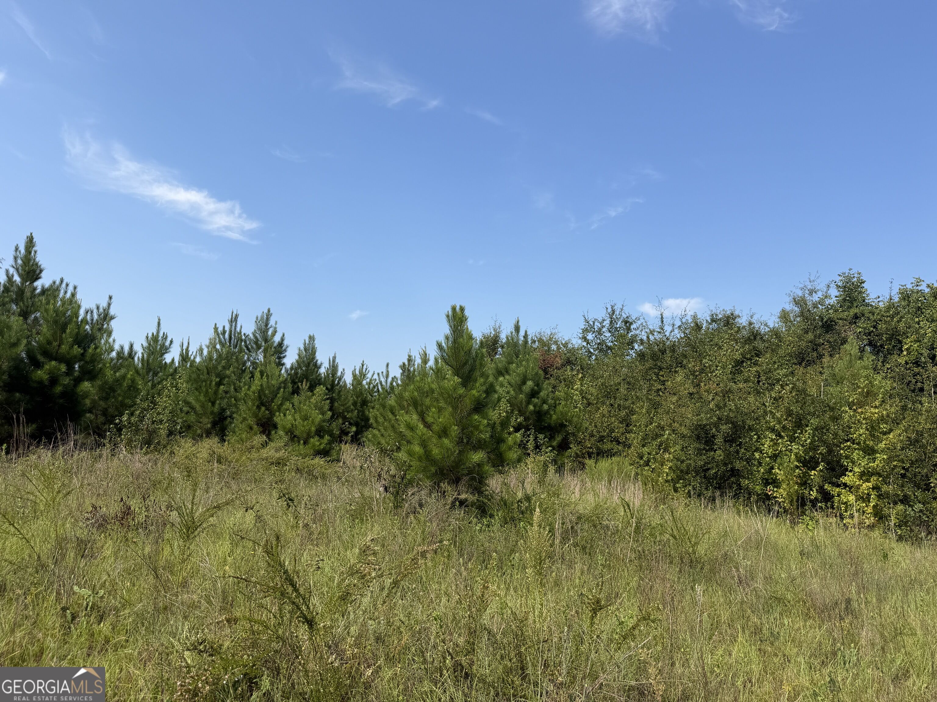 5 Long Branch Road Toomsboro, GA 31090 - Photo 1 of 15 Gallery Image 1