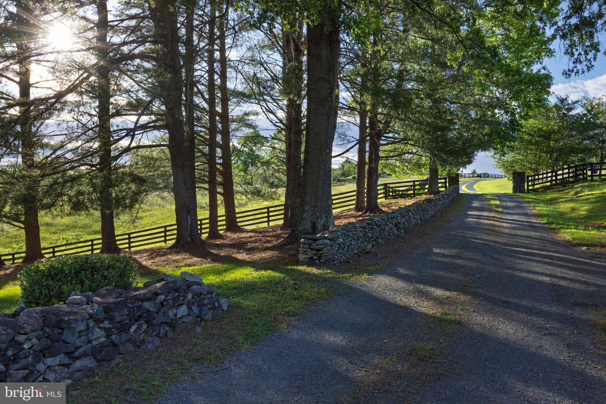 35571 Millville Road Middleburg, VA 20117 - Photo 7 of 50 Dry stacked stone & tree-lined drive