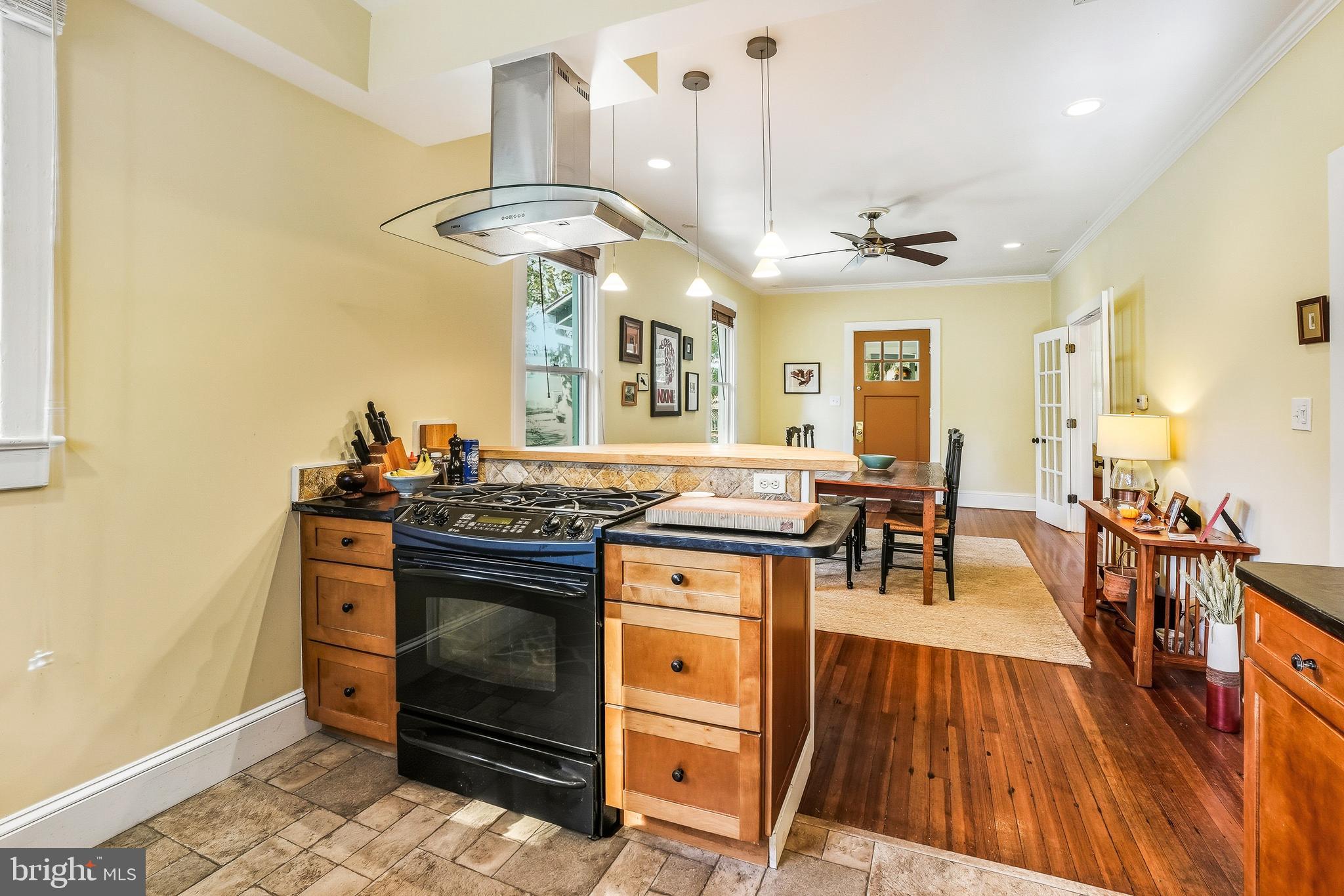 207 Spring Avenue Takoma Park, MD 20912 - Photo 16 of 40 Zephyr Glass Hood Range