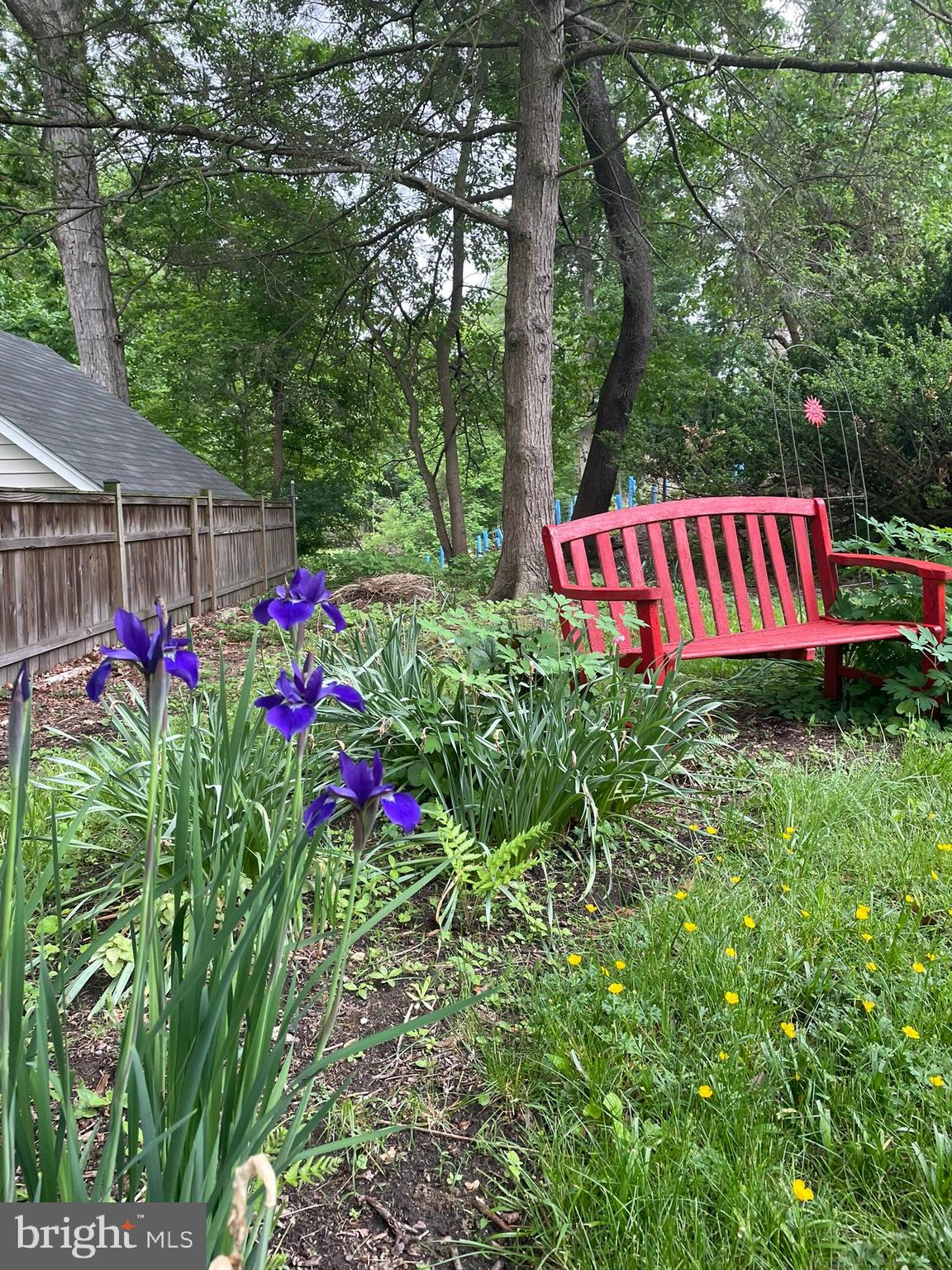 207 Spring Avenue Takoma Park, MD 20912 - Photo 35 of 40 Gorgeous Flowers - Purple Irises