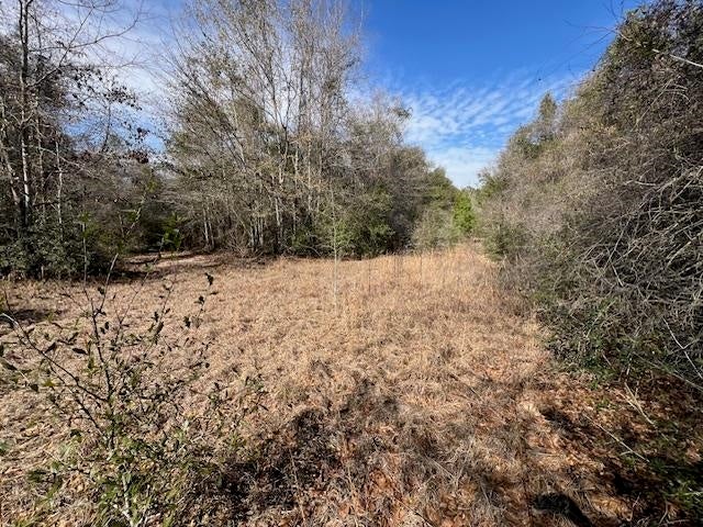 14-ac Potter Road Opp, AL 36467 - Photo 17 of 42 Gallery Image 17