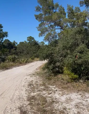 a view of a dry yard with trees