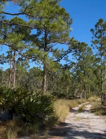 $15,000 | 1846 Nolana Avenue, Sebring, FL 33875