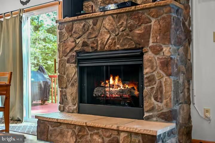 393 Timber Run Road Mathias, WV 26812 - Photo 13 of 31 Gas Fireplace