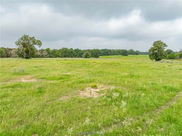 $1,746,180 | 142 Tbd County Road 140, Caldwell, TX 77836