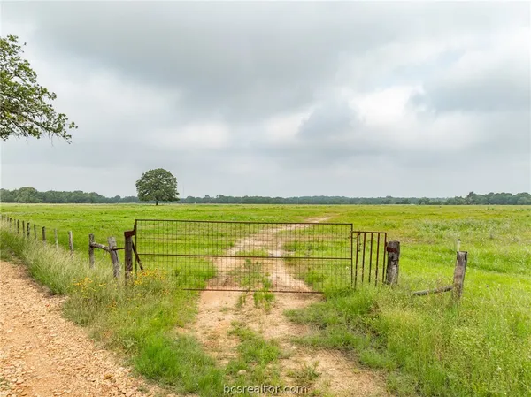 $1,746,180 | 142 Tbd County Road 140, Caldwell, TX 77836