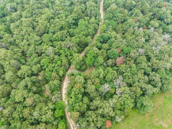$1,746,180 | 142 Tbd County Road 140, Caldwell, TX 77836