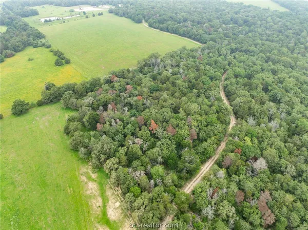 $1,746,180 | 142 Tbd County Road 140, Caldwell, TX 77836