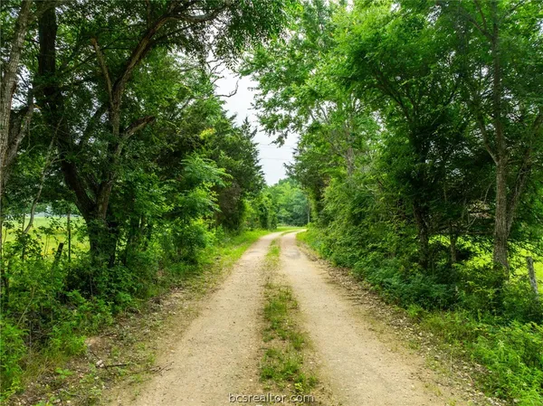 $1,746,180 | 142 Tbd County Road 140, Caldwell, TX 77836