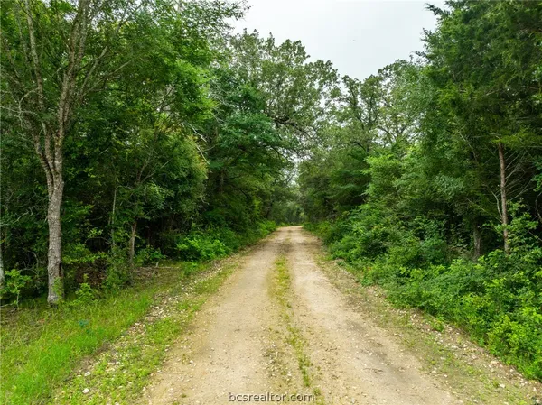 $1,746,180 | 142 Tbd County Road 140, Caldwell, TX 77836