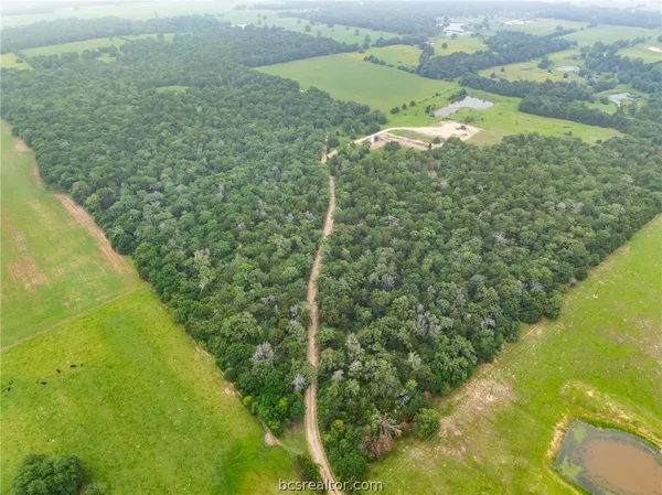 $1,746,180 | 142 Tbd County Road 140, Caldwell, TX 77836