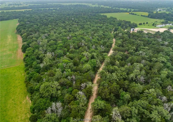$1,746,180 | 142 Tbd County Road 140, Caldwell, TX 77836