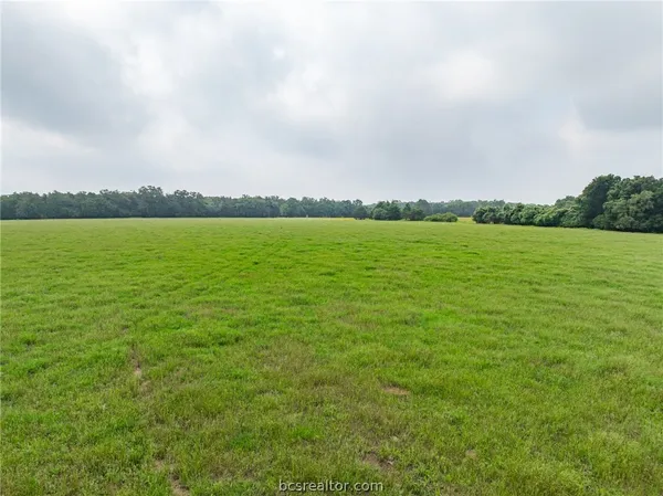 $1,746,180 | 142 Tbd County Road 140, Caldwell, TX 77836