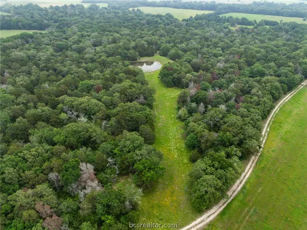 $1,746,180 | 142 Tbd County Road 140, Caldwell, TX 77836