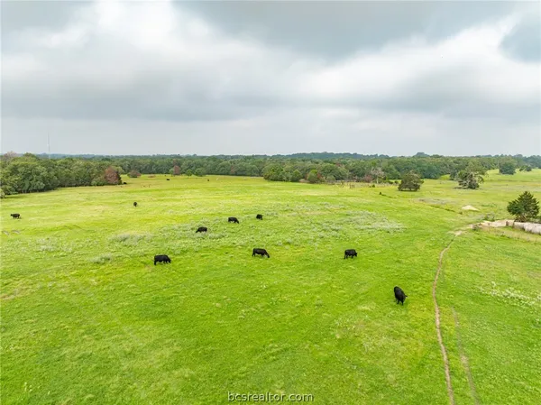 $1,746,180 | 142 Tbd County Road 140, Caldwell, TX 77836