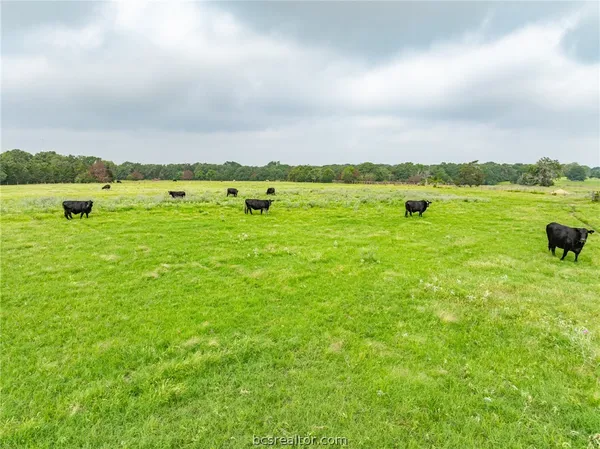 $1,746,180 | 142 Tbd County Road 140, Caldwell, TX 77836