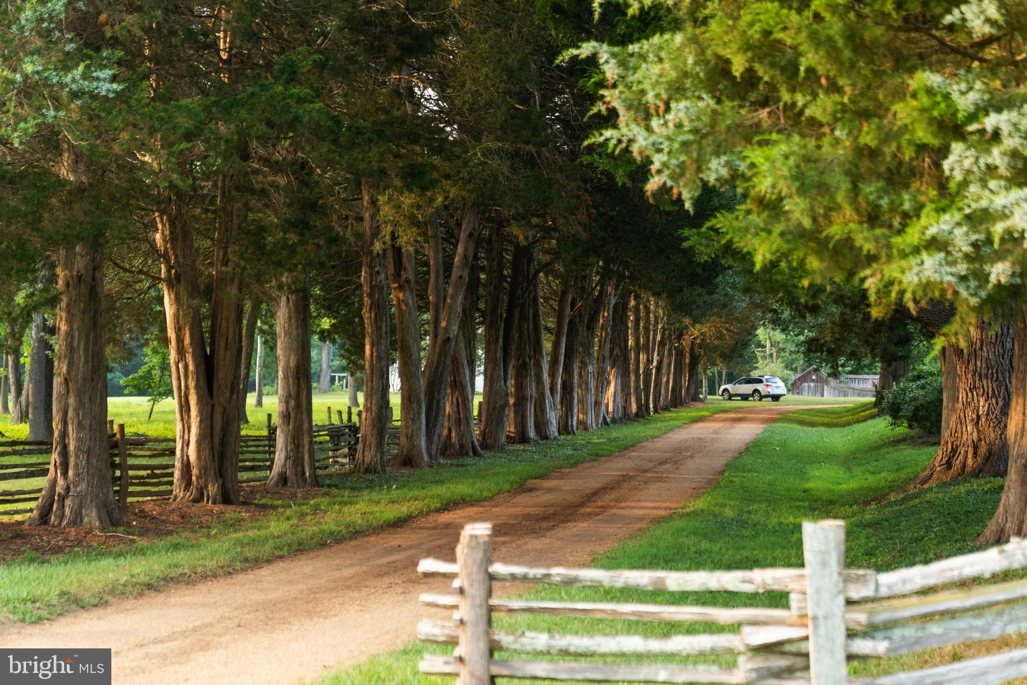 19700 Mulberry Fields Road Leonardtown, MD 20650 - Photo 2 of 137 Cedar Lined Driveway