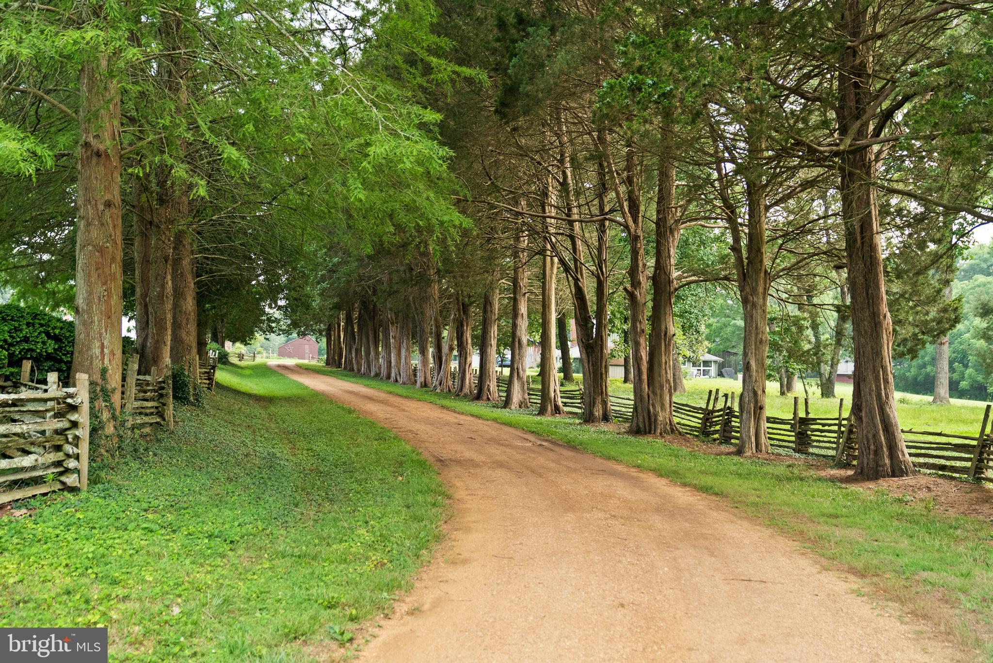 19700 Mulberry Fields Road Leonardtown, MD 20650 - Photo 3 of 137 Cedar Lined Driveway