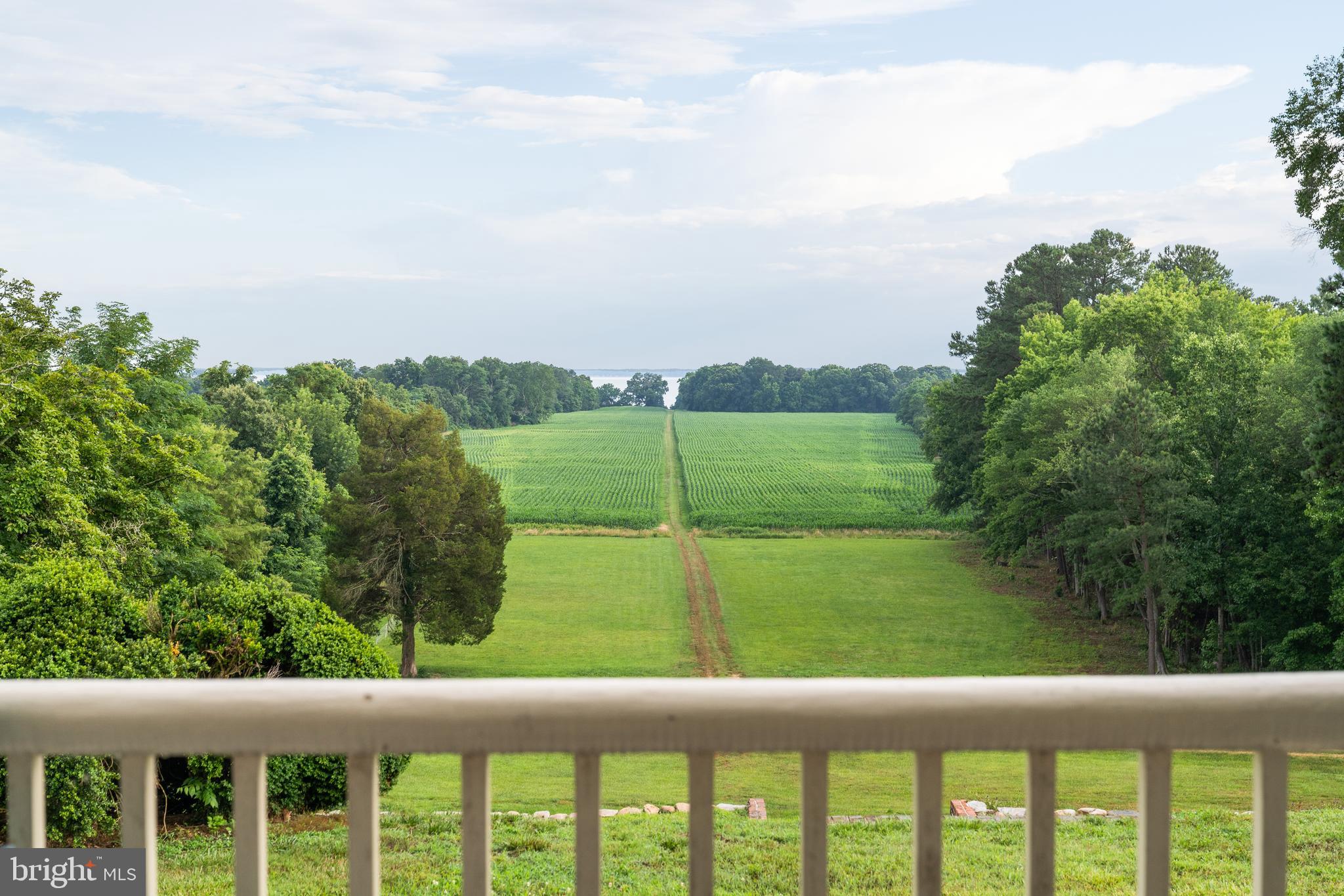 19700 Mulberry Fields Road Leonardtown, MD 20650 - Photo 32 of 137 View from Portico