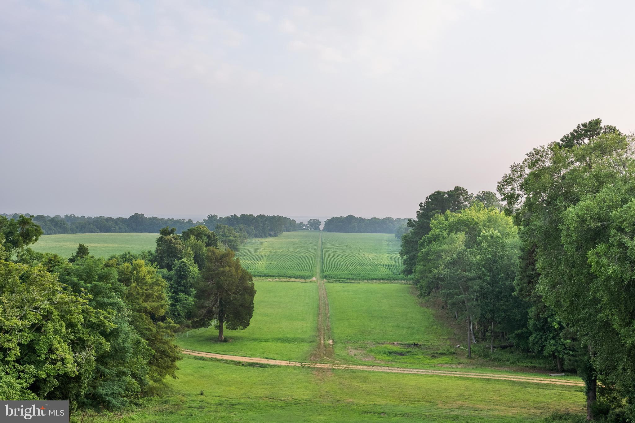19700 Mulberry Fields Road Leonardtown, MD 20650 - Photo 38 of 137 View from Portico