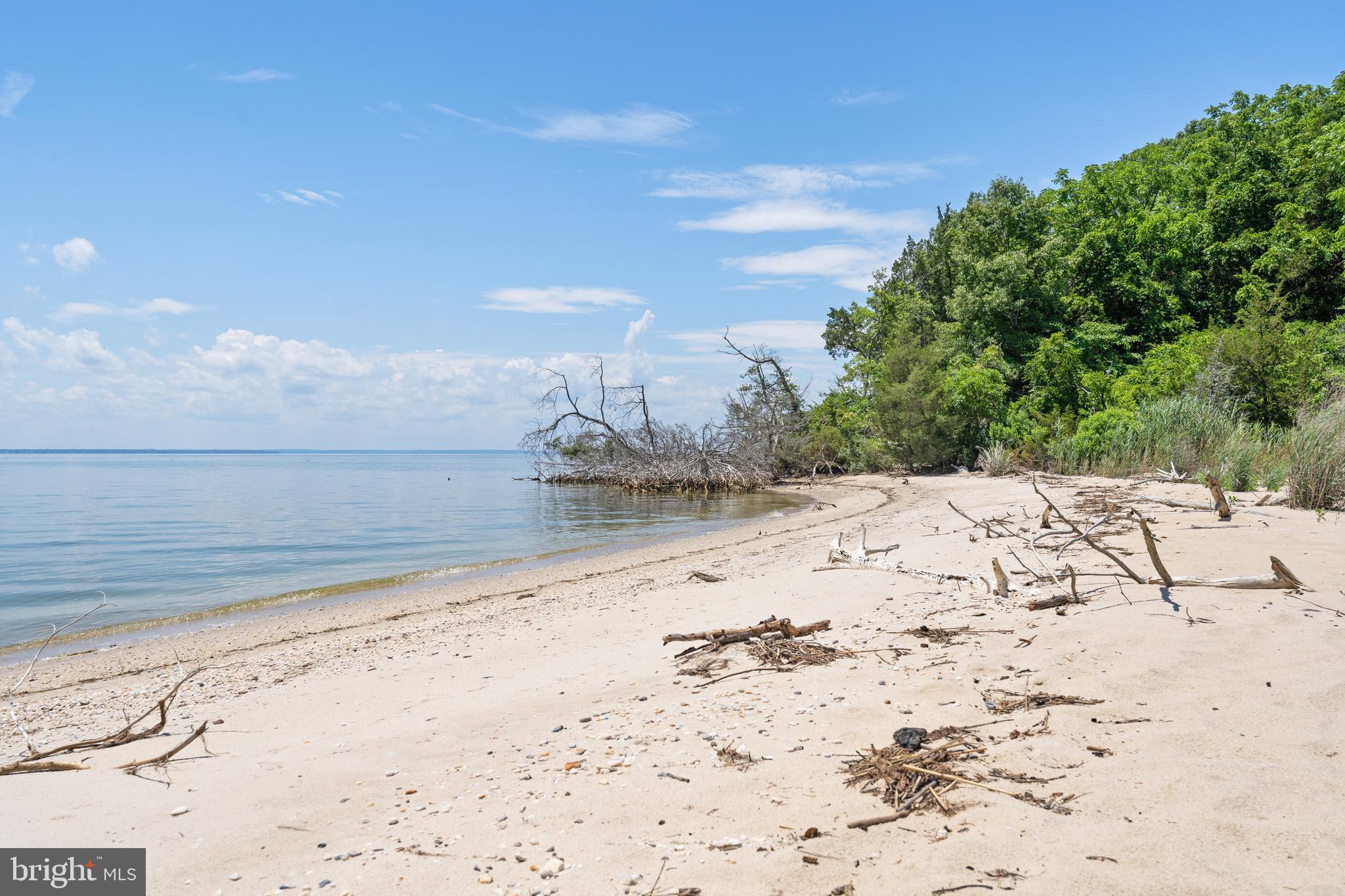19700 Mulberry Fields Road Leonardtown, MD 20650 - Photo 88 of 137 Private Sand Beach