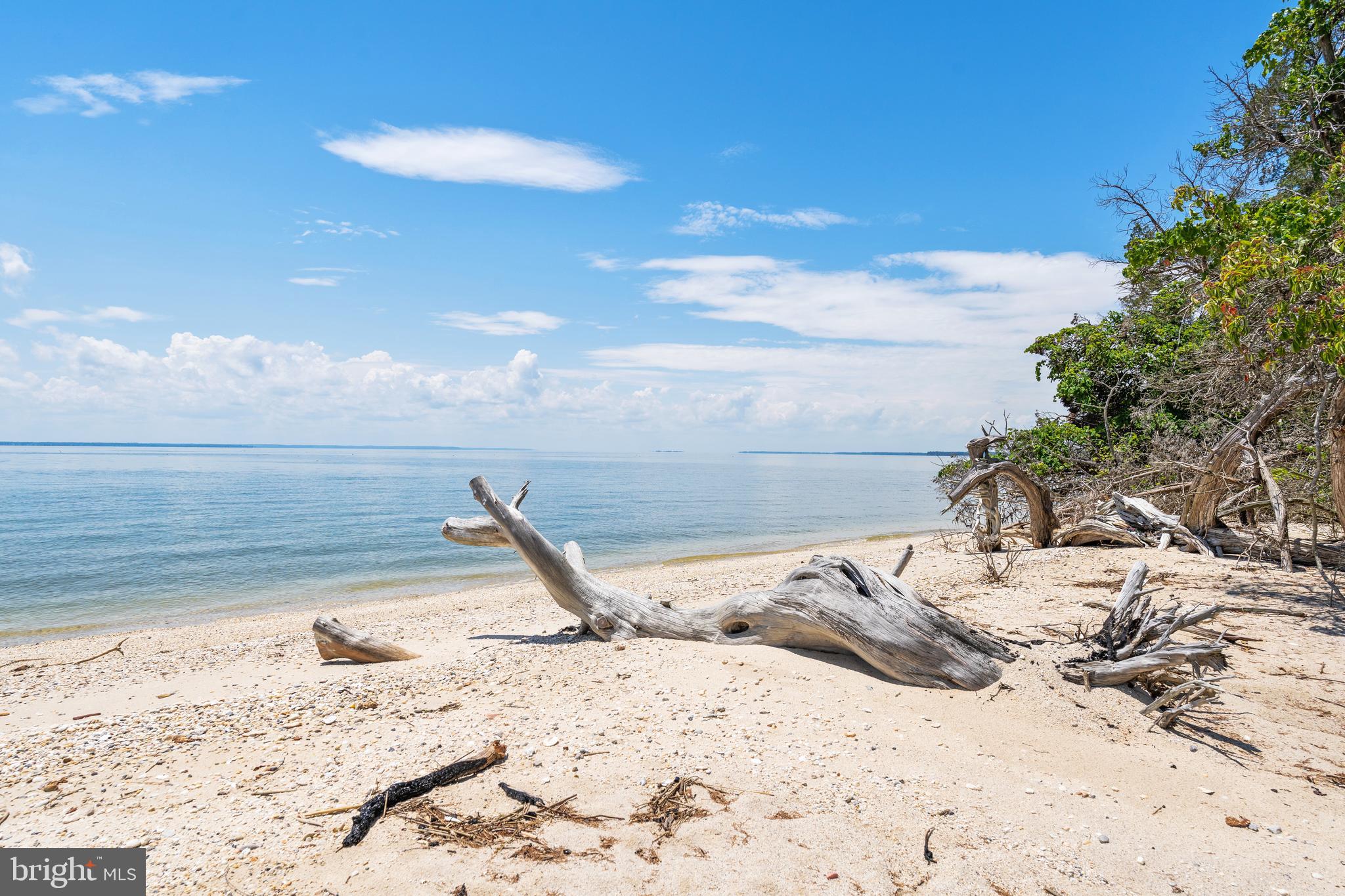 19700 Mulberry Fields Road Leonardtown, MD 20650 - Photo 89 of 137 Private Sand Beach