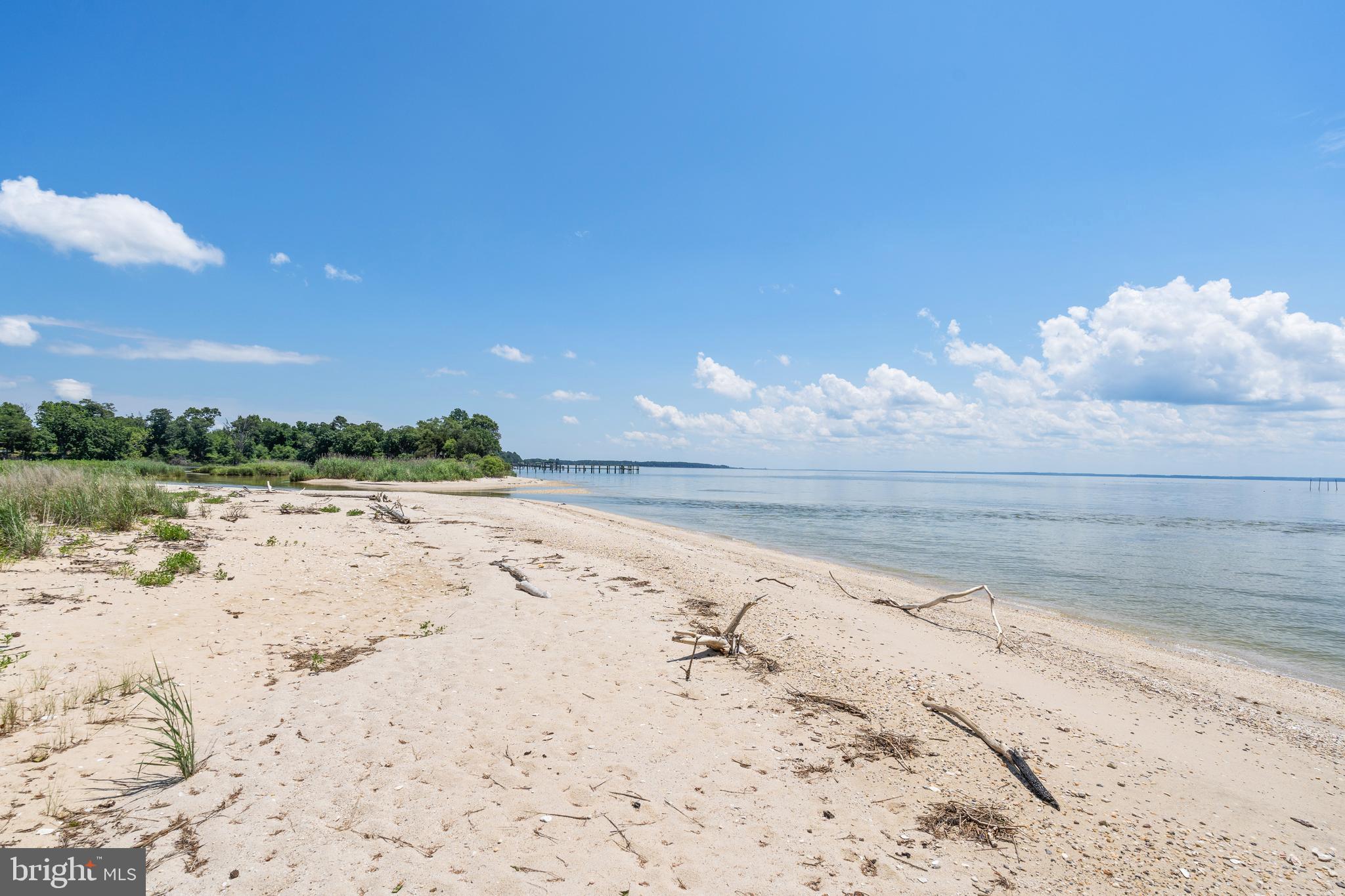 19700 Mulberry Fields Road Leonardtown, MD 20650 - Photo 90 of 137 Private Sand Beach
