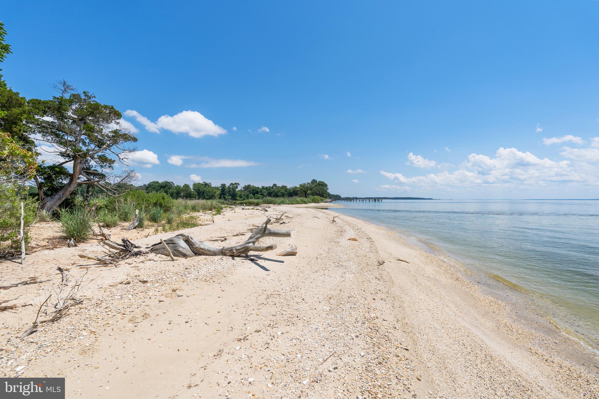19700 Mulberry Fields Road Leonardtown, MD 20650 - Photo 91 of 137 Private Sand Beach