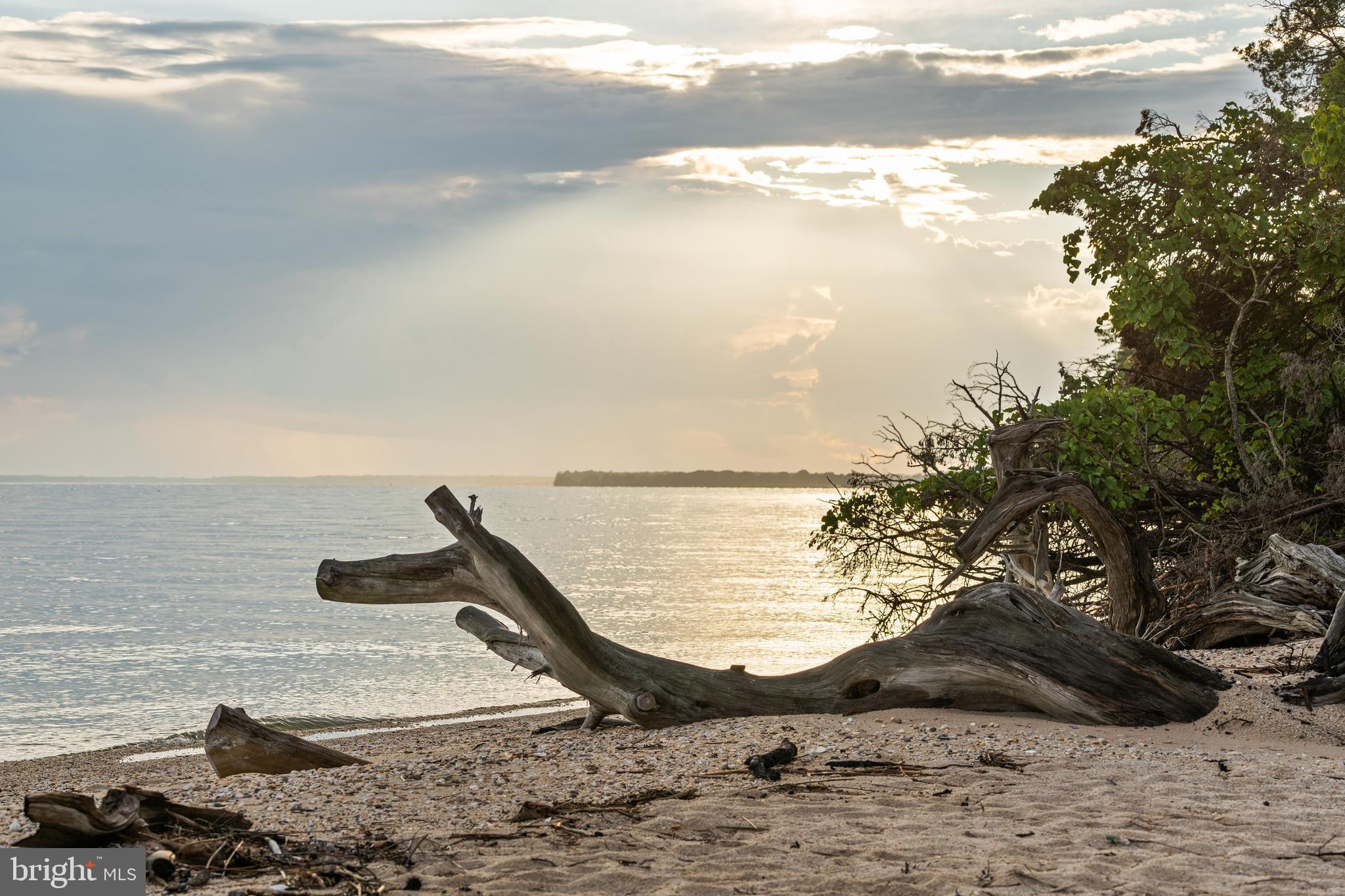 19700 Mulberry Fields Road Leonardtown, MD 20650 - Photo 99 of 137 Private Beach at Sunset