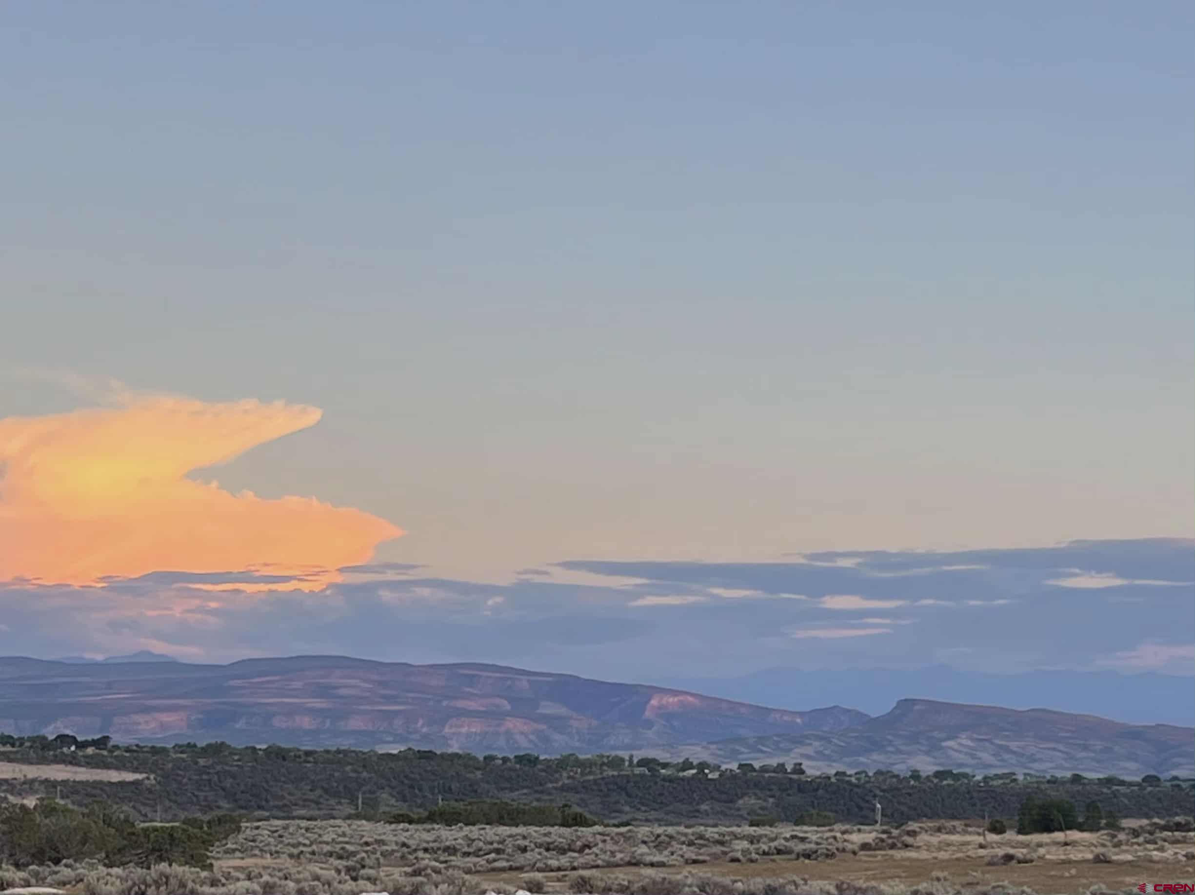 Tbd Lot 5 Tbd Lane Cedaredge, CO 81413 - Photo 8 of 10