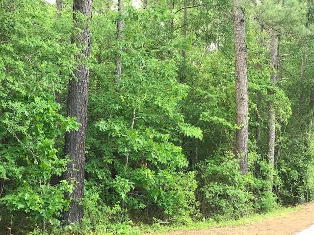 0 Manning Road Iva, SC 29655 - Photo 11 of 21