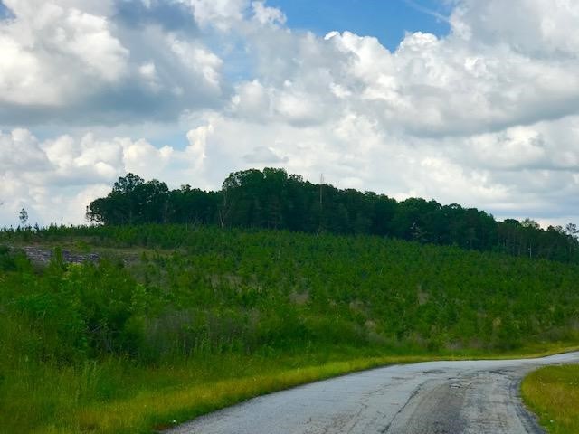 0 Manning Road Iva, SC 29655 - Photo 15 of 21