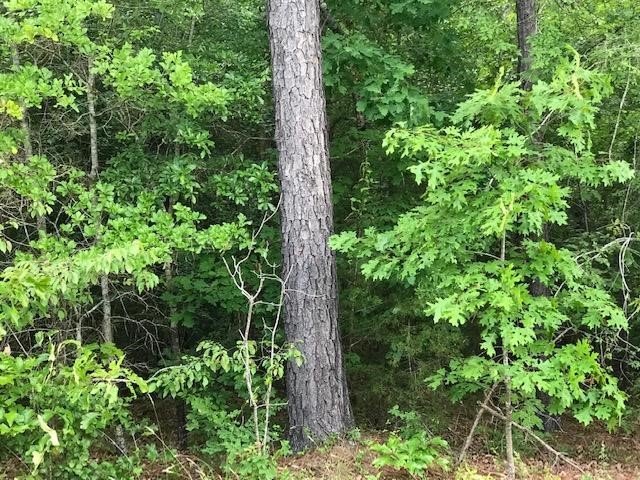 0 Manning Road Iva, SC 29655 - Photo 10 of 21