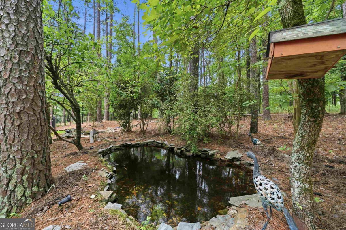 1241 Cedar Ridge Drive Greensboro, GA 30642 - Photo 10 of 66