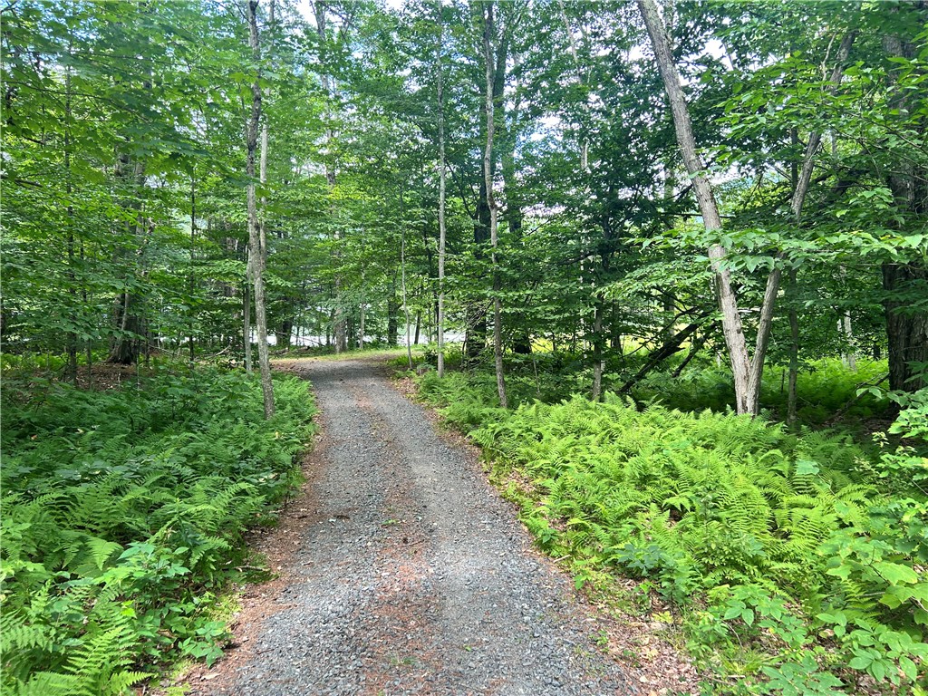 270 Collins-Gifford Valley Road Northampton, NY 12134 - Photo 21 of 26