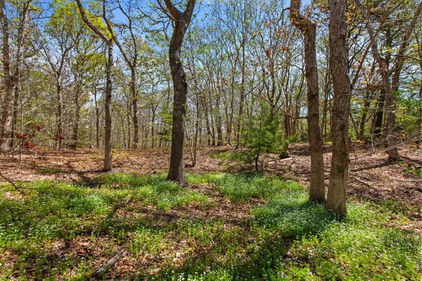 $699,000 | 0 Landing Drive, Brewster, MA 02631