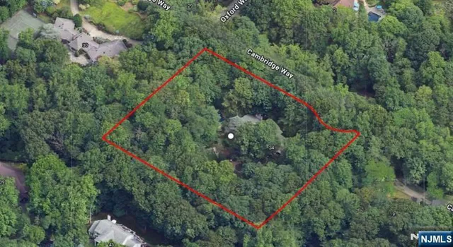 an aerial view of residential houses with outdoor space and trees