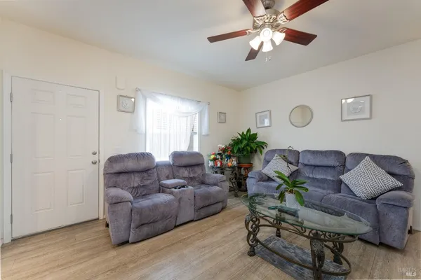 a living room with furniture and a potted plant