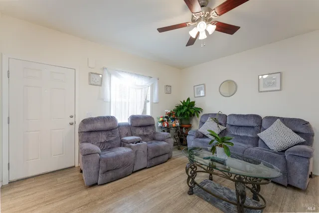 a living room with furniture and a potted plant