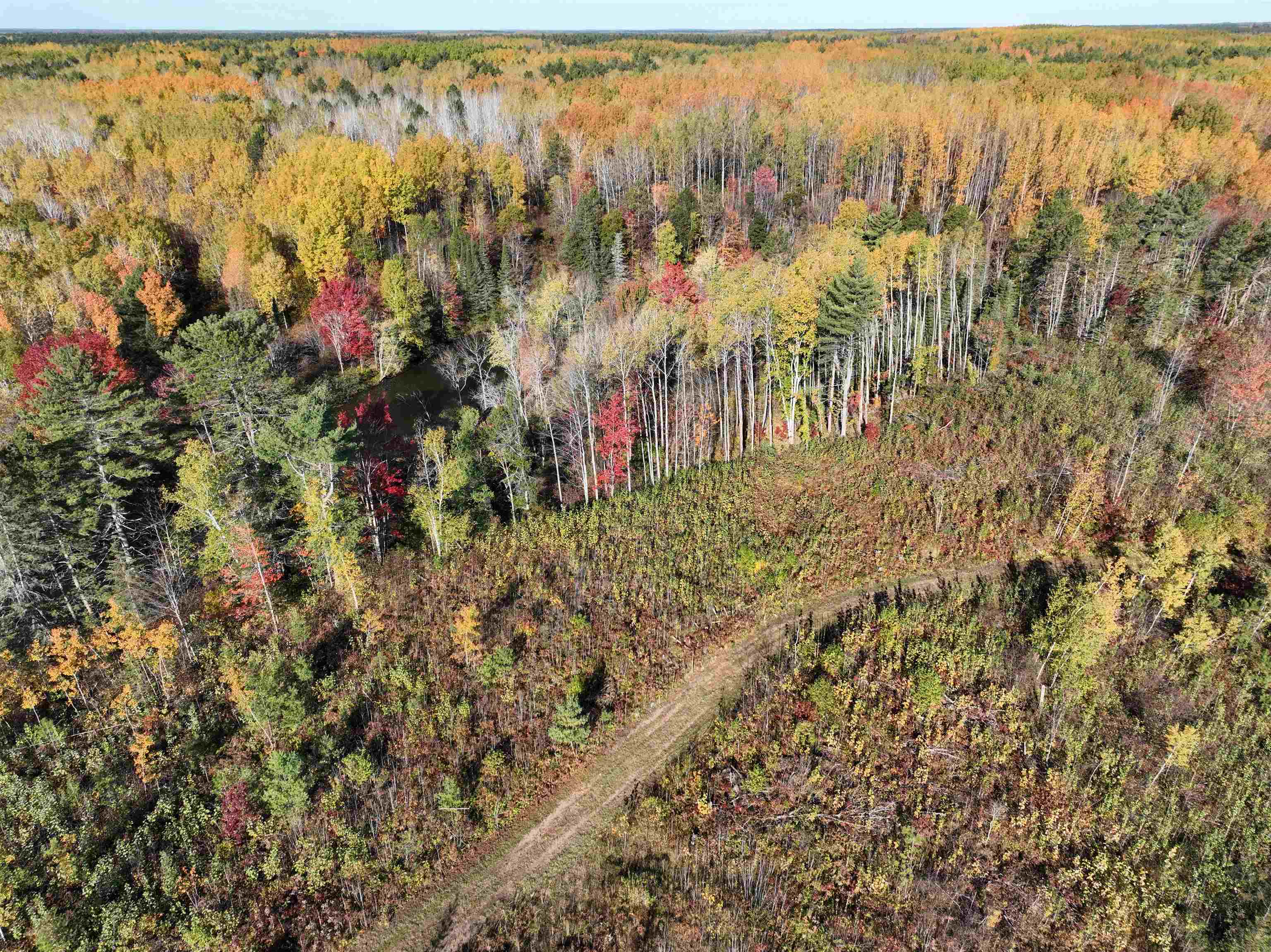 Near Rocky Run Road Harshaw, WI 54529 - Photo 6 of 20