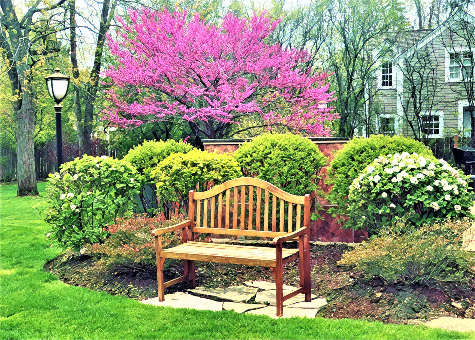 425 Sunset Ridge Road Northfield, IL 60093 - Photo 38 of 53 a view of a bench in a yard