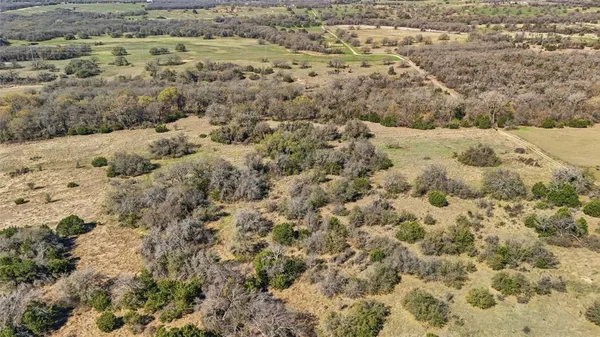 a view of a big yard