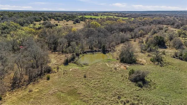 an aerial view of forest