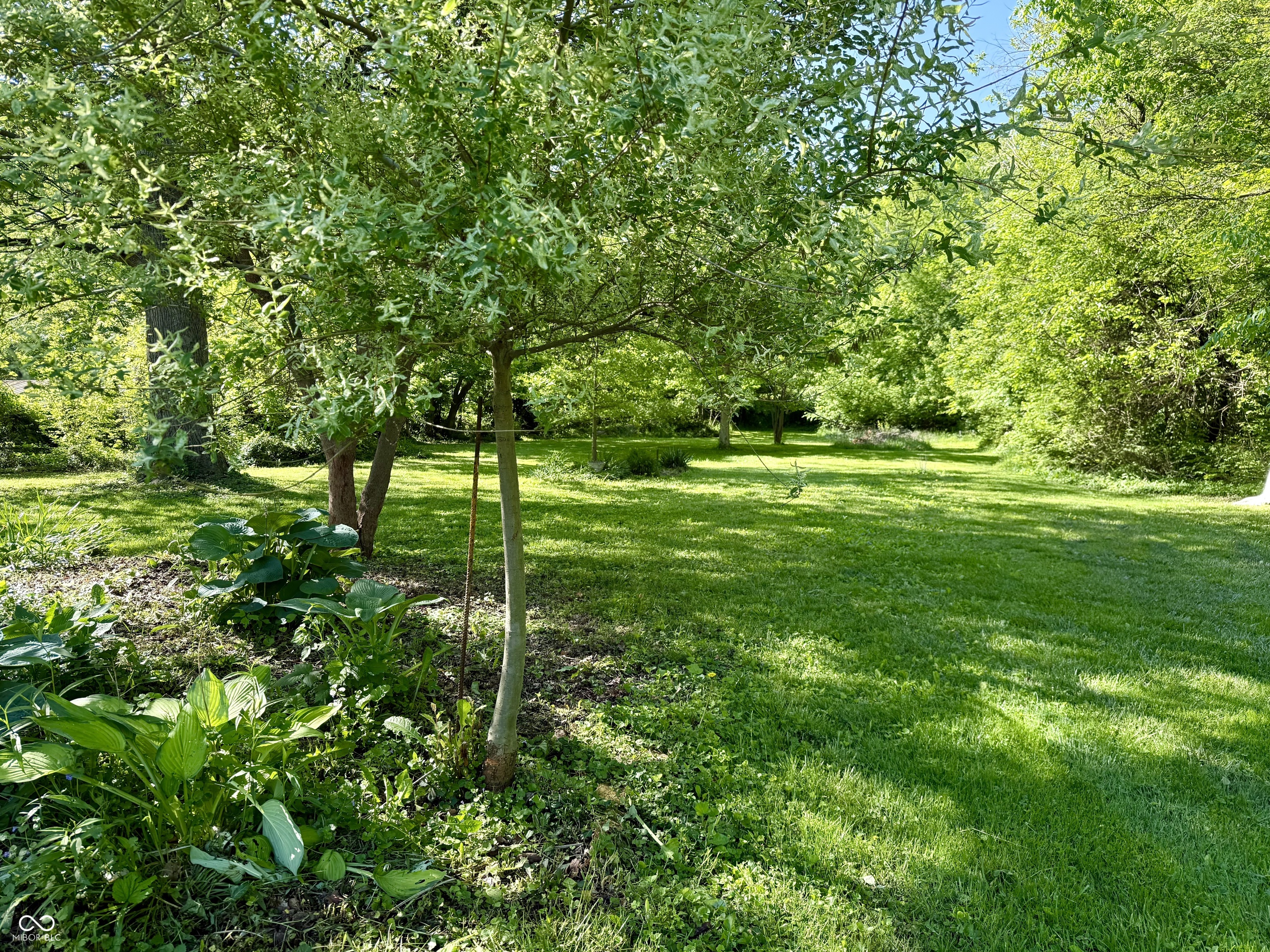 1311 Stafford Road Plainfield, IN 46168 - Photo 11 of 32